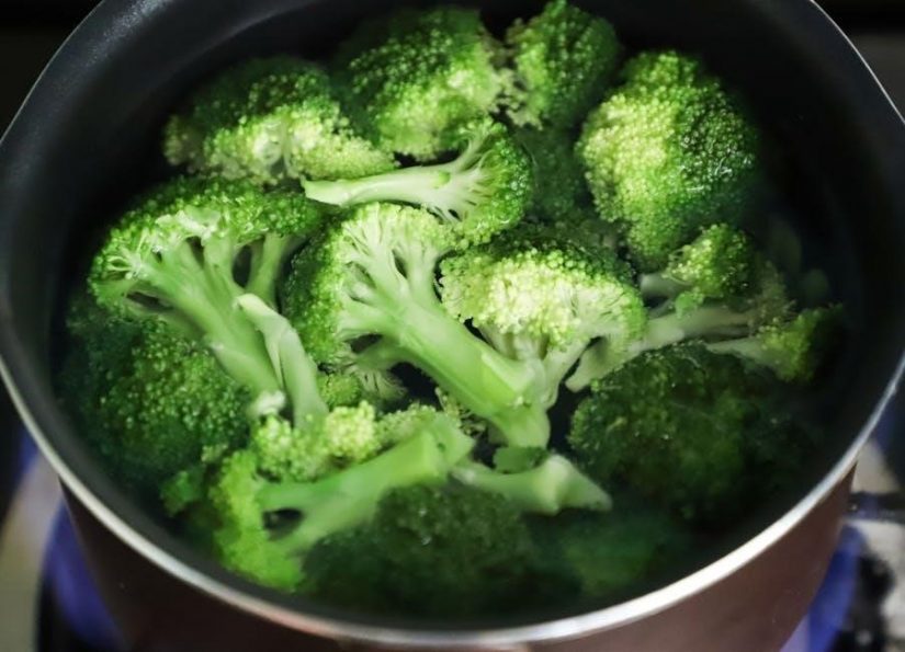 vegetarian keto diet plan free pdf